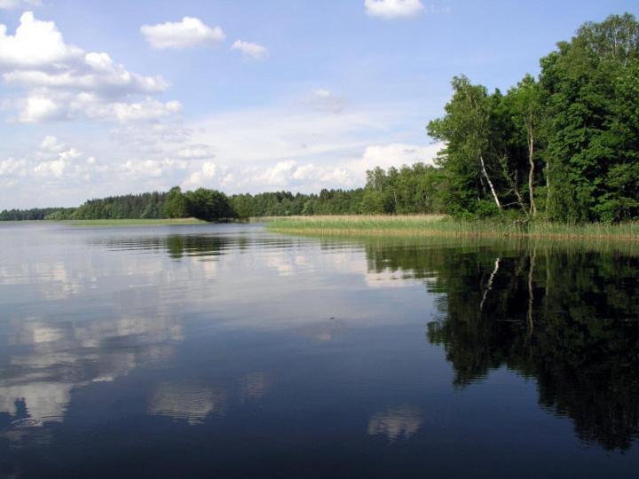 Luodziu Dvaras Салакас